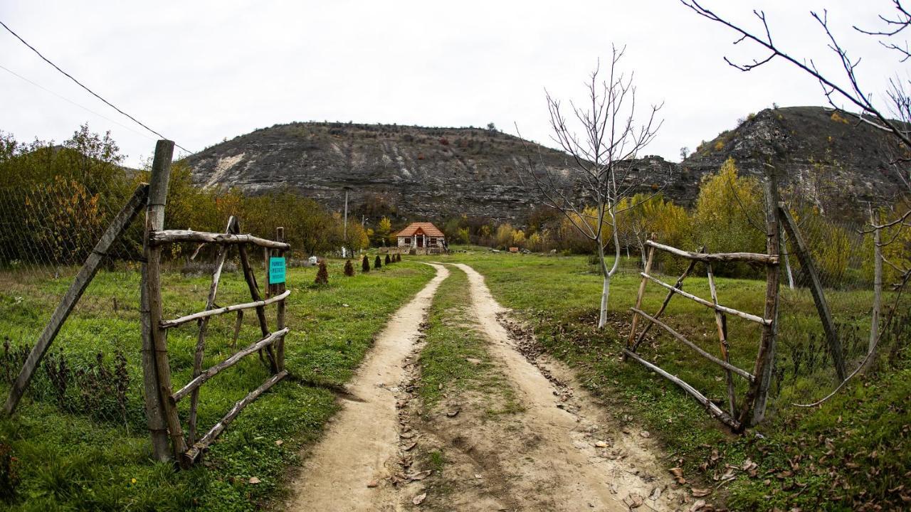 Casa Agricultorului Varzari Butuceny Buitenkant foto