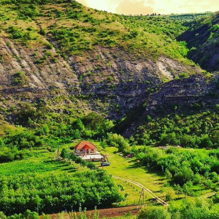 Casa Agricultorului Varzari Butuceny Buitenkant foto